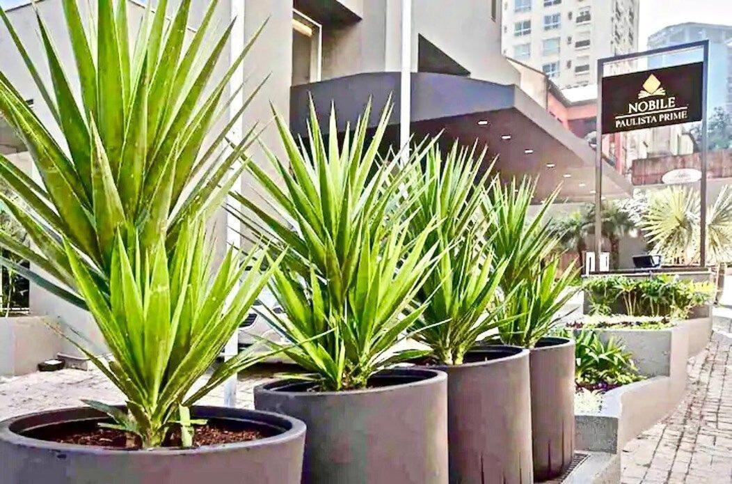 Апартаменты Flat Whynd Paulista Al Campinas 540 Сан-Пауло Экстерьер фото